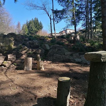 La Fortance Paradis Naturel - Proche De La Ville Planfoy Eksteriør billede