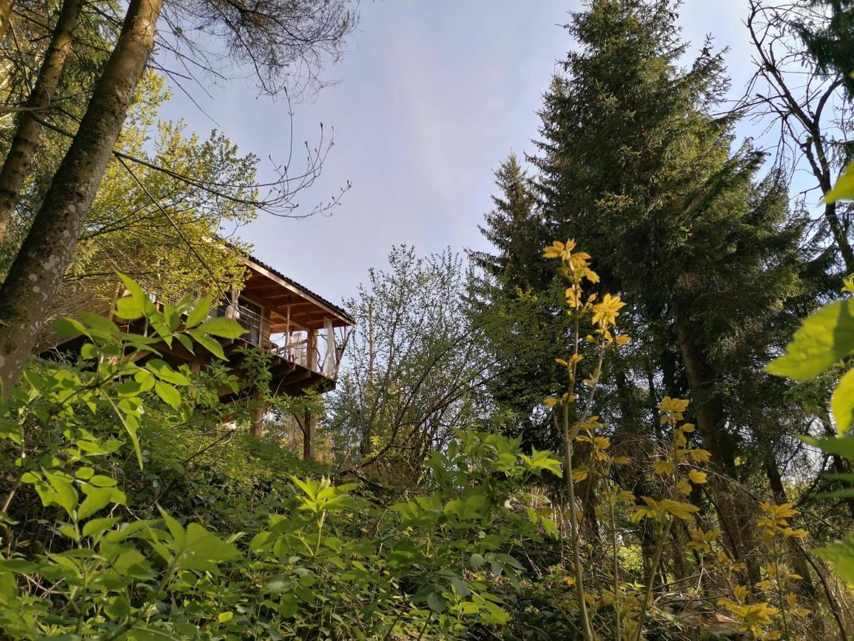 La Fortance Paradis Naturel - Proche De La Ville Planfoy Eksteriør billede