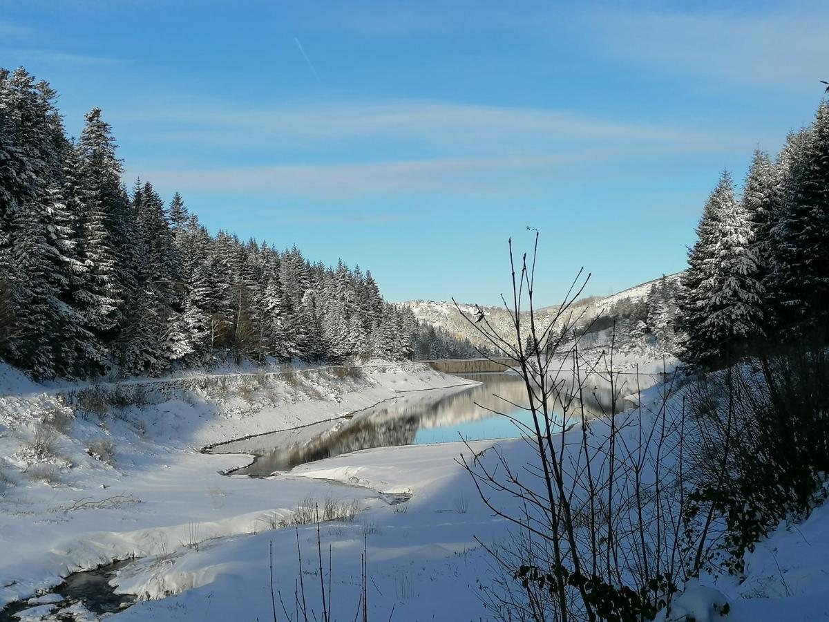 La Fortance Paradis Naturel - Proche De La Ville Planfoy Eksteriør billede