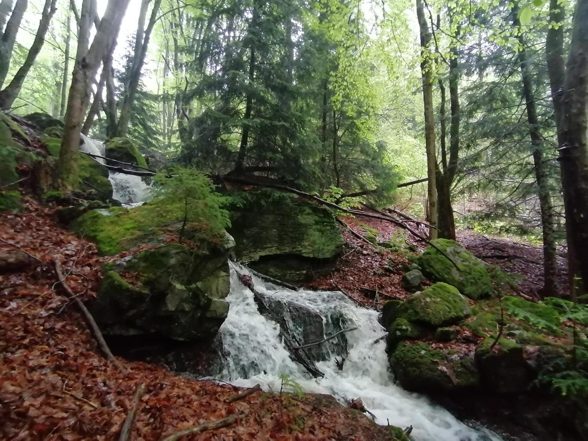 La Fortance Paradis Naturel - Proche De La Ville Planfoy Eksteriør billede