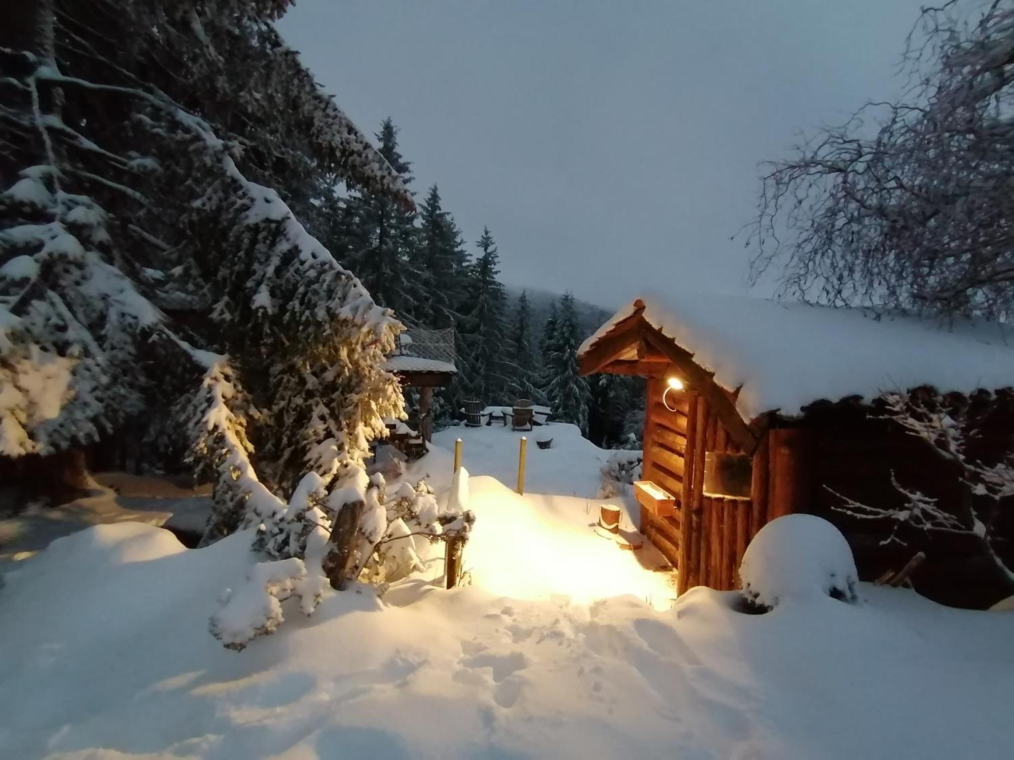 La Fortance Paradis Naturel - Proche De La Ville Planfoy Eksteriør billede