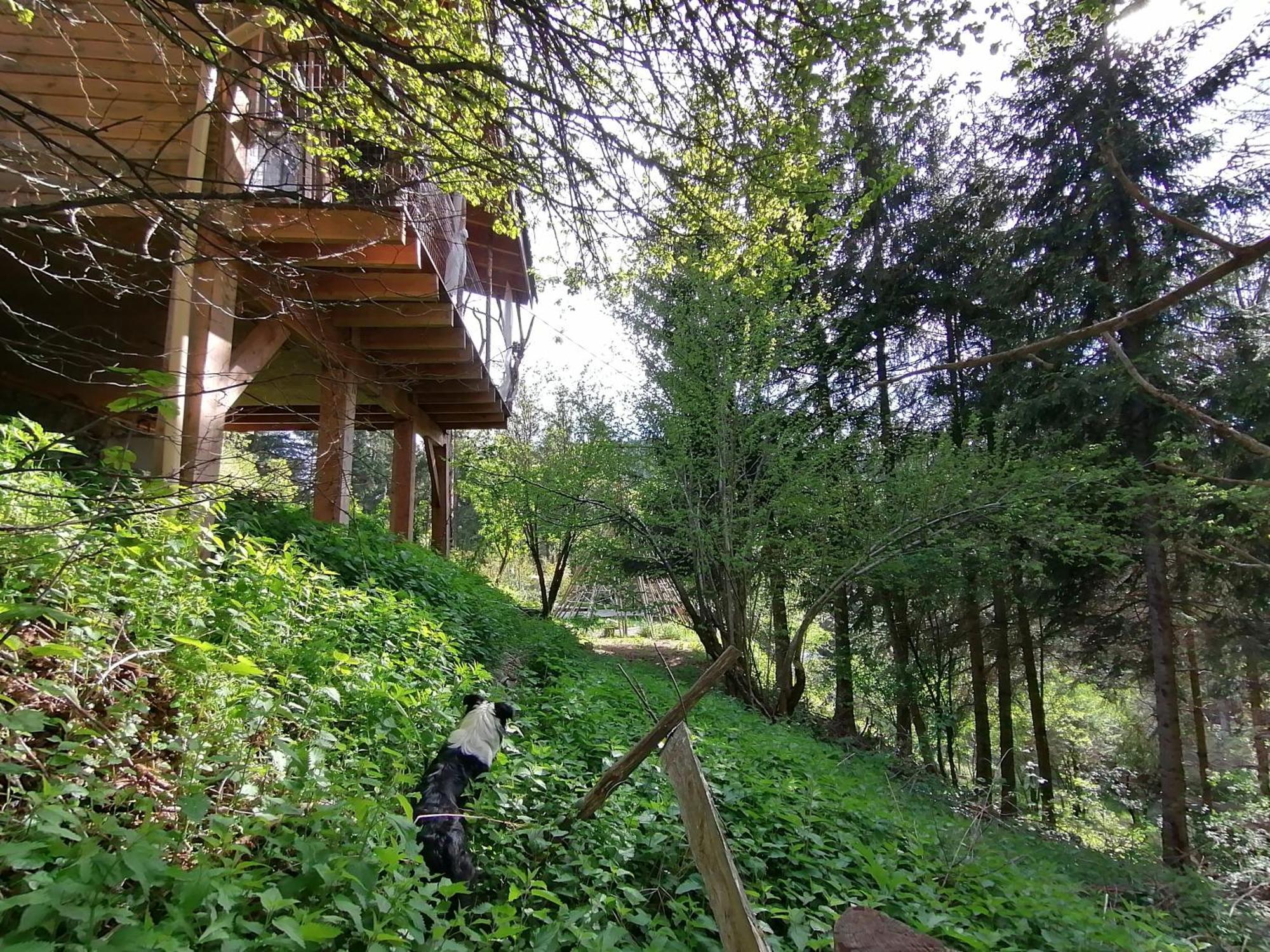 La Fortance Paradis Naturel - Proche De La Ville Planfoy Værelse billede