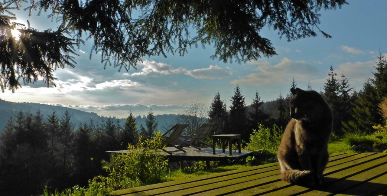 La Fortance Paradis Naturel - Proche De La Ville Planfoy Eksteriør billede